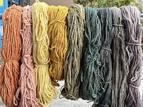 Fungal Dyeing Workshop