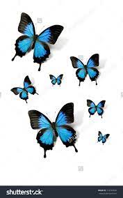 Swarm Of Butterflies Papilio Ulysses Isolated On White Mountain Swallowtail Butterfly Neck Tattoo Blue Butterfly Tattoo Butterfly
