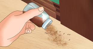 Maybe you would like to learn more about one of these? 7 Ways To Get Rid Of Insects In Your House That Actually Work