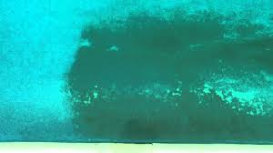 We did not find results for: Metal Stain In Pool Removed Instantly Youtube