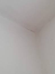 Wenn sie in einer feuchten, schimmligen wohnung leben, haben sie außerdem ein erhöhtes risiko für atemwegserkrankungen und atemwegsinfektionen sowie für eine verstärkung einer vorhandenen. Handelt Es Sich Um Schimmel Computer Gesundheit Und Medizin Wohnung