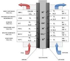Download Scientific Diagram Various Types Of Fuel Cells From Publication Fuel Cells And Their Applications Fuel Cell Cars Fuel Cells Hydrogen Fuel Cell