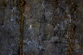 Check spelling or type a new query. Texture A Fragment Of The Wall Of An Old Wet Basement Covered With Drops Of Tar White Mold And Cobwebs Stock Image Image Of Colorful Covered 161983767