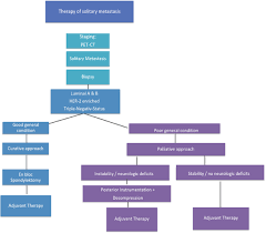 High levels of calcium in the blood (hypercalcemia), which can cause nausea, vomiting, constipation and confusion. Operative Treatment Of Metastatic Breast Cancer In The Spine With Regard To Molecular Phenotypes