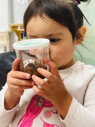 Has anyone here written any state or federal grant requests for tonies? Or,  if not for tonies, for other classroom materials?