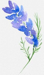 Floral seamless pattern white colors winter. Purple And Blue Flowers Floral Design Flower Watercolor Painting Background Floral Botanical Watercolor Flowers Purple Blue Watercolor Leaves Png Pngwing
