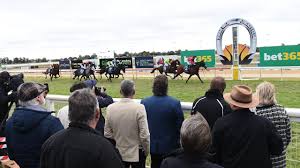 Swan Hill Cup 2024 picture gallery