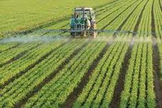 Resultado de imagen para agricultura sector primario