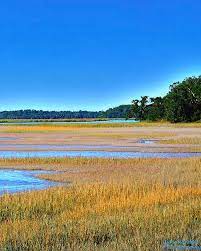 Discover the magic of the internet at imgur, a community powered entertainment destination. South Carolina Lowcountry Hdr Vertical 2 Photograph By Lisa Wooten