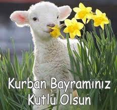 Türkiye'nin en iyi haber sitesi. Kurban Bayrami Mesajlari Resimli Bayram Tebrik Mesajlari 2019 Guzel Anlamli Hadisli Kurban Bayrami Mesajlari Whatsapp Komik Bayram Mesajlarii Tg Mobile