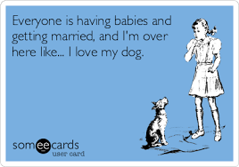 Pin By Rachel Ormsby On Pets Just For Gags Ecards Funny Funny Babies