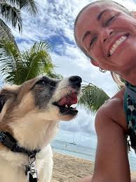 Dog rental in Maui for a few hours