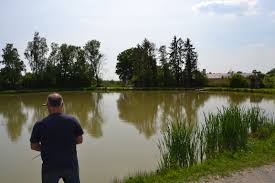 Rowley said dolberg lake is a great place to find rainbow trout, tiger trout and brown trout. Dieter Schroder S Gewassertip Dolberg Und Sunninghausen Zwei Forellenhofe Im Sudlichen Munsterland