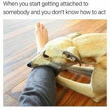 17 Romantic Memes You Should Send To Your Crush Funny Crush Memes Romantic Memes Saturday Memes