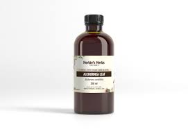 Image result for Alchornea occidentalis