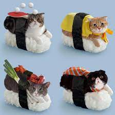 Disfraces Caseros Para Gatos 10 Ideas Faciles Y Divertidas