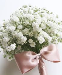 Tanah semai sendiri dapat dibuat dengan campuran tanah gembur dan pupuk kandang beserta sedikit sekam. Rangkaian Bunga Sweet Baby Breath Bouquet Olusta