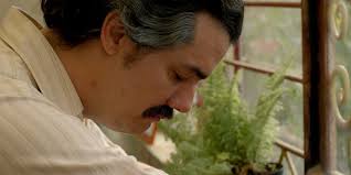 Haydee Contreras (@haydecontrerass)