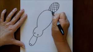 How To Draw A Cartoon Platypus Step By Step Drawing Tutorial Youtube It's not easy to draw a realistic drawing, but the effects are definitely worth it. how to draw a cartoon platypus step by step drawing tutorial