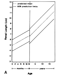 pediatric radiology normal measurements ohsu