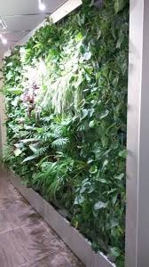 Ca 7 Qm Grosse Innenwand Plants Entrance Spa