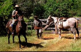 El origen de la fiesta del trabajador rural se encuentra en el recuerdo del presidente domingo perón. Uruguay Hoy Se Celebra El Dia Del Trabajador Rural