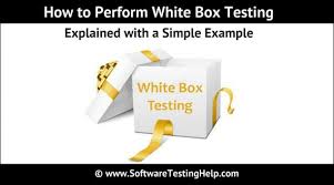 White Box Testing A Complete Guide With Techniques