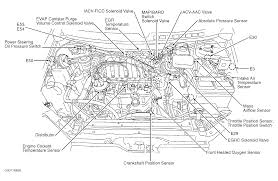 Fuse box diagram minivan nissan quest (v42; Nissan Quest Diagram Wiring Diagram Data Slow Panel Slow Panel Portorhoca It