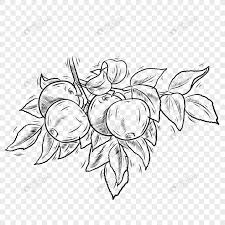 Pasangan muda dalam buah buahan syurga makan di bawah tumpuan. Makanan Buah Buahan Hitam Dan Putih Epal Gambar Unduh Gratis Imej 401693378 Format Psd My Lovepik Com