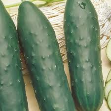 Image result for Cucumis humifructus