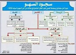 اشرحـــوا لنــا سجــود السهــو مــع ذكــر الأمثلــة الجــــواب سجـود السهـو سببـه واحـد مـن أمــور ثلاثــة Learn Islam Islamic Phrases Islam Facts