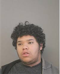 ᐅ Illinois Criminal Records 2009-2025