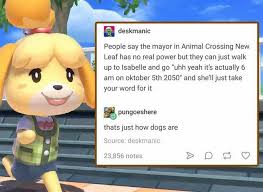 Trust You Dogs Do Animal Crossing Funny Animal Crossing Game Animal Crossing Memes