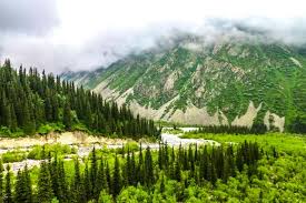A beautiful forest while snowing in spectacular crisp 4k. China S 10 Most Beautiful Pristine Forests Travel Notes And Guides Trip Com Travel Guides