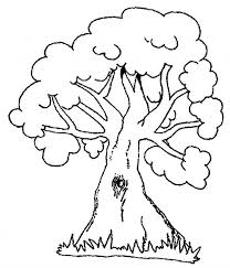 Desene de colorat cu copaci de primavara. Desene Cu Copaci De Colorat Imagini È™i PlanÈ™e De Colorat Cu Copac