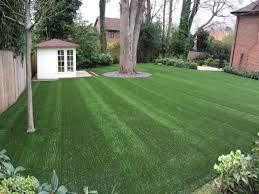 Of tree root transects over time. Top Tip Installing Around Trees Trulawn