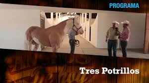Check spelling or type a new query. Rancho Tres Potrillos Youtube
