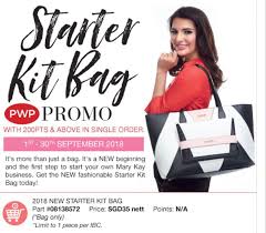 Mary kay® starter kit includes: Mary Kay Handbagshandbag Reviews 2020