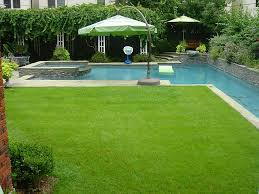 Har Com 1918 Lauderdale Houston Tx 77030 Backyard Oasis Backyard Pool Backyard