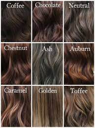 20 Best Ideas For Hair Dyed Ideas Colorful Shades Coffee Hair Chestnut Hair Cool Hair Color