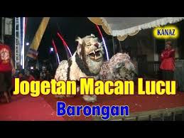 Namun, sejinak apa pun hiu, tetap saja taring dan wajahnya membuat bulu kuduk merinding. Jogetan Dua Macan Lucu Comic Book Cover Comic Books Book Cover