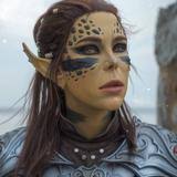 Herbert Clements BMC, Vietnam. Fred wants his loaned property returned to  him by the National Navy UDT SEAL Museum, Fort Pierce, Florida.  fightforfred.com