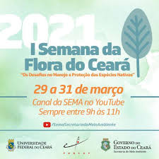 Dia do meio ambiente sensibiliza pessoas, organizações e países quanto à importância de proteger a natureza. Sema Promove I Semana Da Flora Do Ceara Com Trilha E Passeio De Barco Virtuais Governo Do Estado Do Ceara