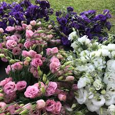 Just for you flowers & gifts. Wholesale Spring Wind Farm