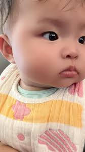 Reel by Adrian Chow (@adrian_chowchow) · November 28, 2022