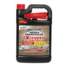 Weed killing sprays and sprayers we reviewed. Spectracide Weed And Grass Killer Spray With Extended Control Shop Weed Killer Insecticides At H E B