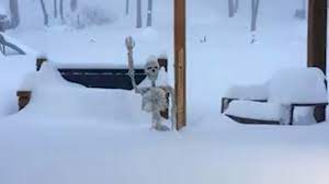 Selling for $400 or best offer. Watch As Blizzard Buries Back Yard