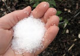 The epsom salt will not only keep away ground hogs and other pests, including rabbits and squirrels, it is will help your plants grow. Adding Epsom Salts To Your Garden And Lawn Claims Vs Facts Big Blog Of Gardening