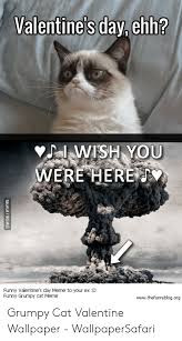 30 grumpy cat funny quotes. Clean Memes Wallpapers Posted By Ethan Tremblay