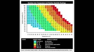 Quirky Connection Humidity And How It Affects Us Youtube